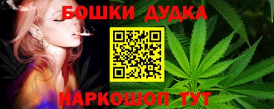 мяу мяу мука Кингисепп