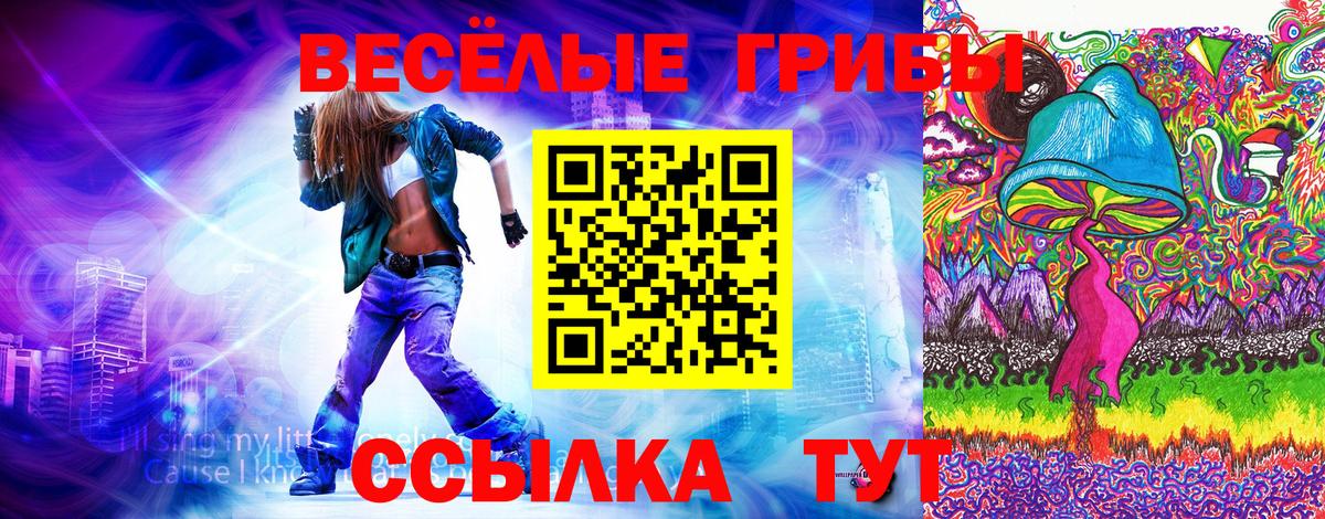 Карпинск  Псилоцибиновые грибы ЛСД  Вход с VPN  Галлюциногенные грибы мицелий 
